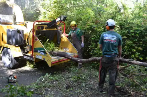 tree services Broomfield